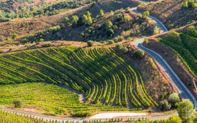 Descubre el Priorat (Tarragona) en Autocaravana en Cuatro Días