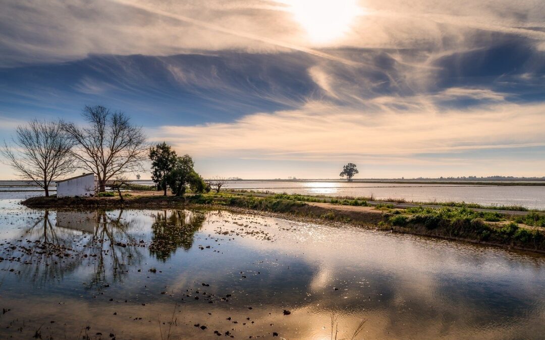 Ruta amb Autocaravana pel Delta de l’Ebre