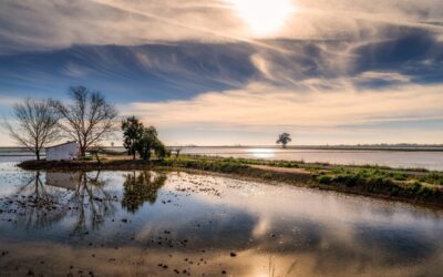 Ruta con Autocaravana por el Delta del Ebro (Tarragona)